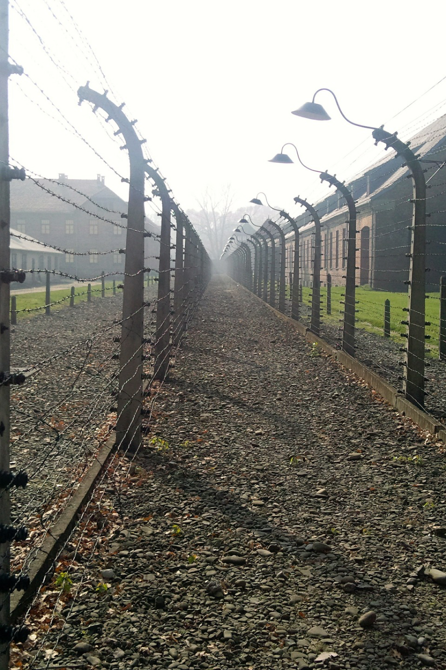 Block 11 Books Linkmap Image